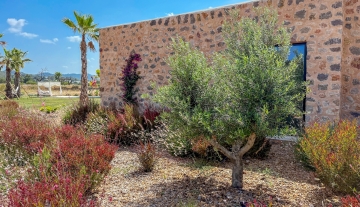 Resa estates Ibiza finca can Tumas for sale side house.jpg